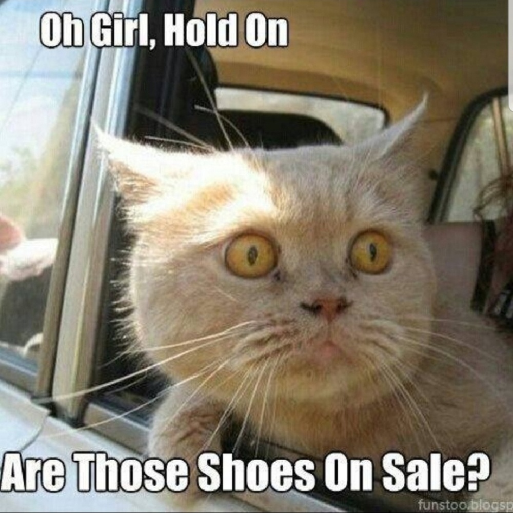 😂 - Picture 4 of 6